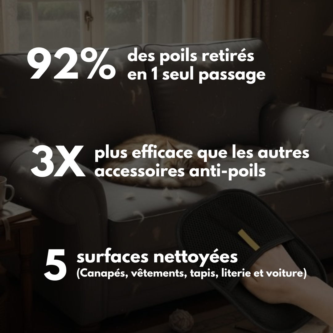 GARFIELD - GANT NETTOYANT ANTI-POILS